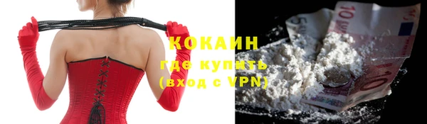 ПСИЛОЦИБИНОВЫЕ ГРИБЫ Дмитров