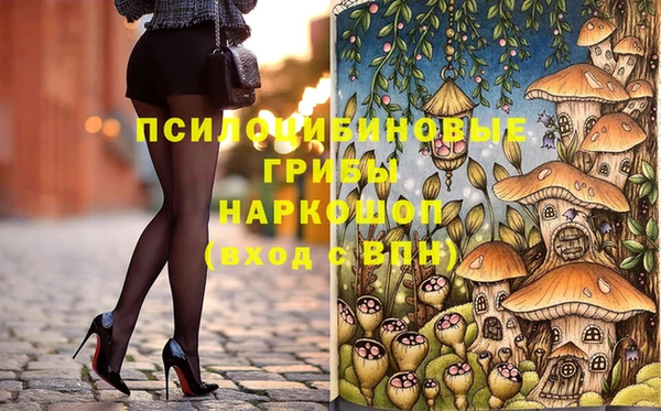 ПСИЛОЦИБИНОВЫЕ ГРИБЫ Дмитров