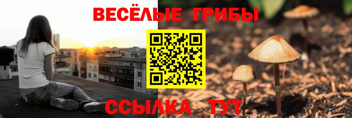 где купить наркоту  Вход с VPN  Уссурийск  Псилоцибиновые грибы GOLDEN TEACHER 